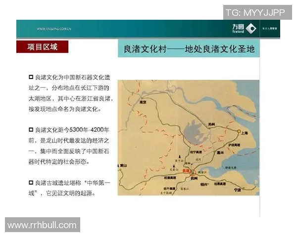 杭州网球队实力全面解析与对比分析报告